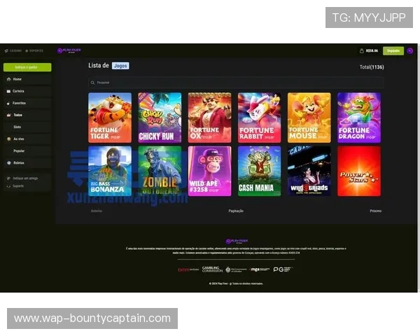 PG游戏试玩网站如何选择，提供详细攻略和实用建议让你快速上手高效试玩